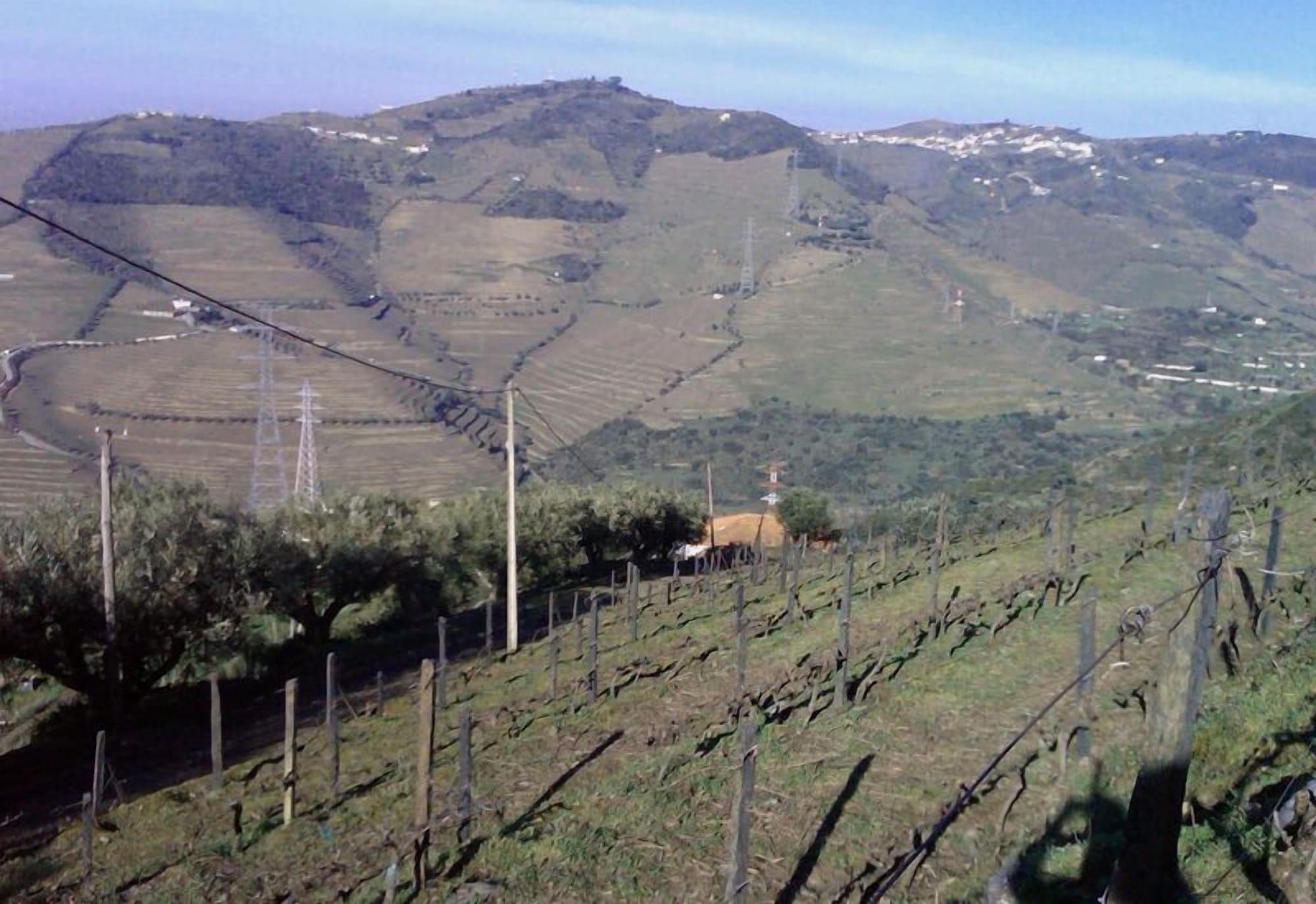 Quinta De Casaldronho Wine Hotel لاميغو المظهر الخارجي الصورة