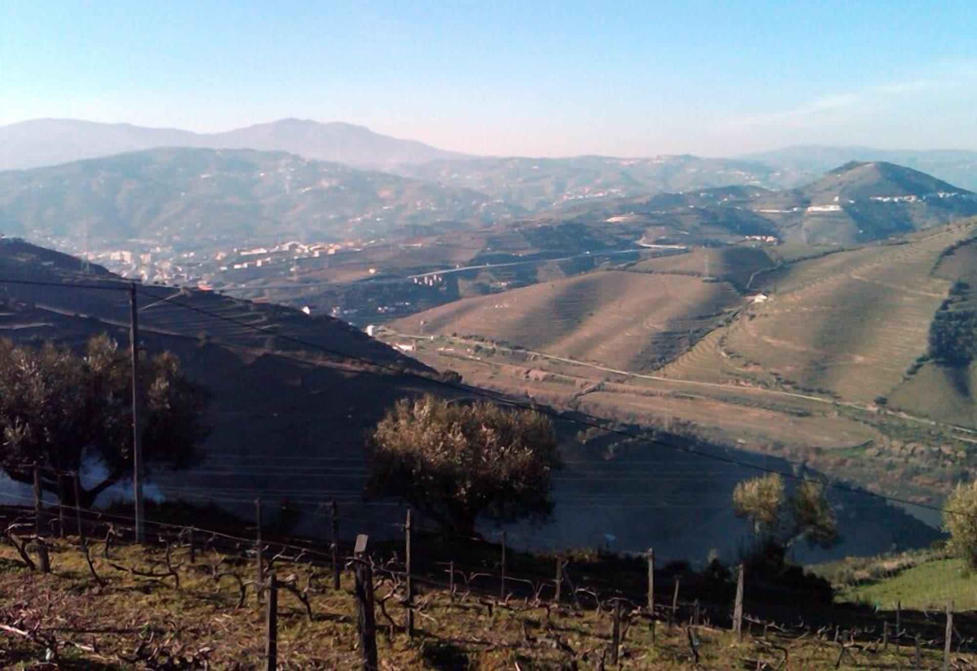 Quinta De Casaldronho Wine Hotel لاميغو المظهر الخارجي الصورة
