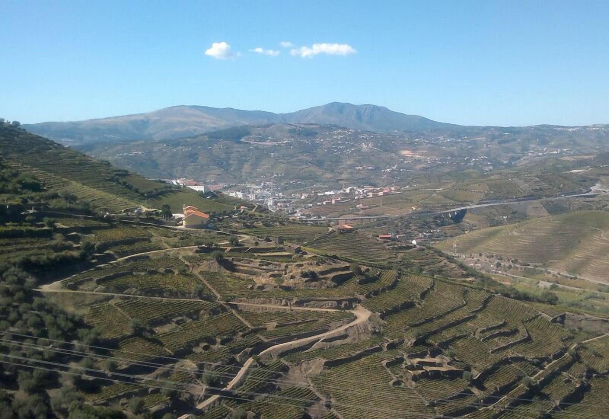 Quinta De Casaldronho Wine Hotel لاميغو المظهر الخارجي الصورة