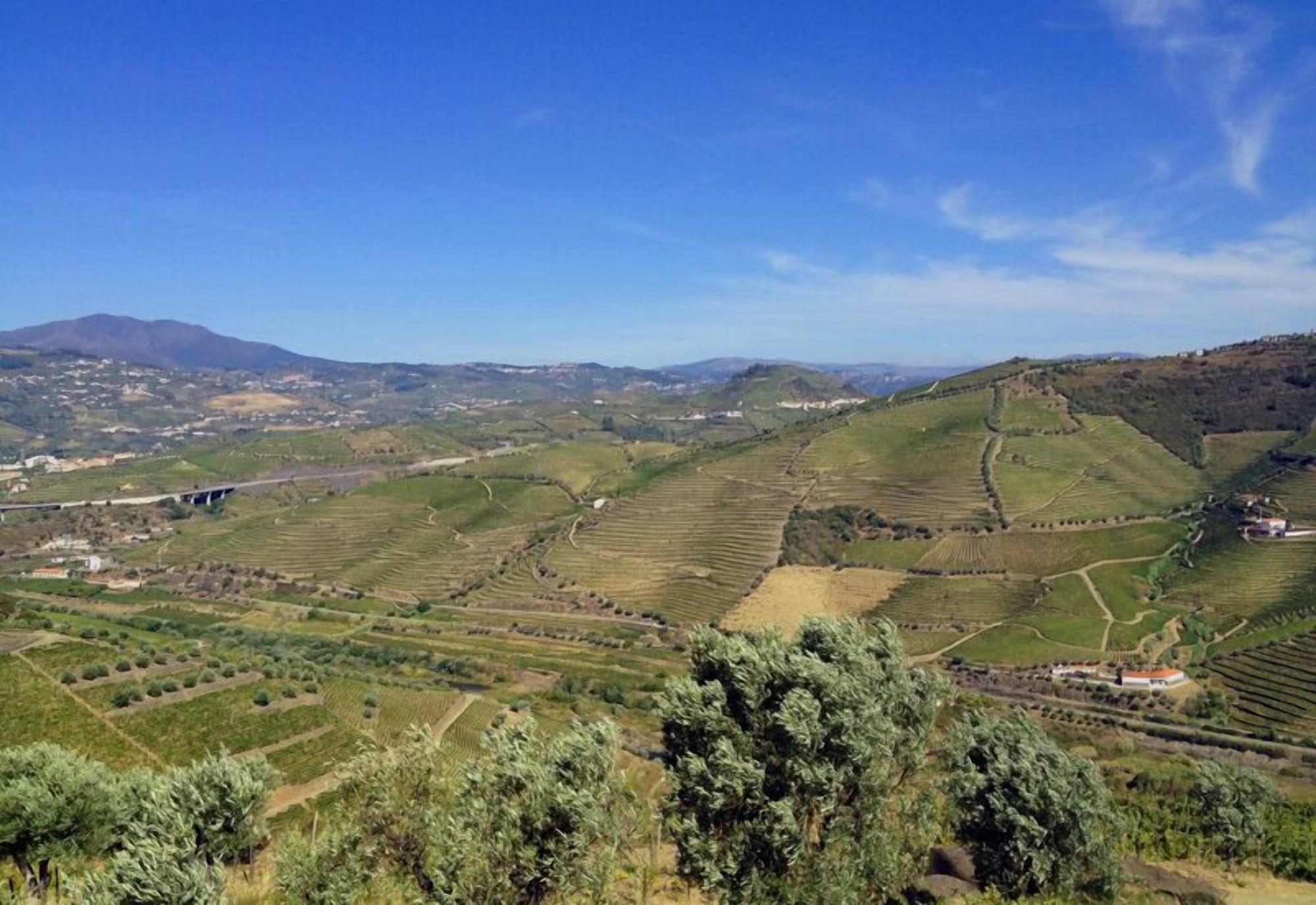 Quinta De Casaldronho Wine Hotel لاميغو المظهر الخارجي الصورة