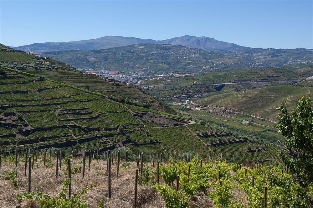 Quinta De Casaldronho Wine Hotel لاميغو المظهر الخارجي الصورة